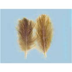 Turrall Feathers and Hackles - Cul De Canard Packet - CCA