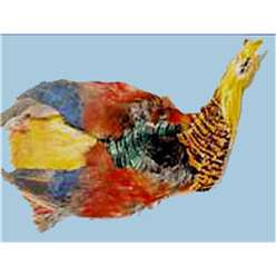 Turrall Feathers and Hackles - Golden Pheasant - Body and Head - GNC02