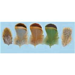 Turrall Feathers and Hackles - Partridge Hackles - PAR