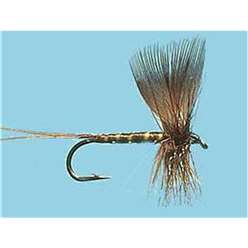 Turrall Mayflies - Brown Drake - MA01