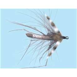 Turrall - Cul De Cunard Daddy Long Legs - DL06