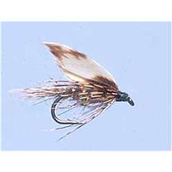 March Brown - Turrall Wet Flies Winged - WW34