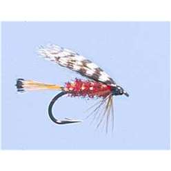 Teal & Red - Turrall Wet Flies Winged - WW50