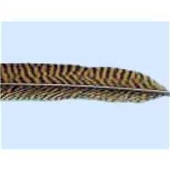 Turrall Feathers and Hackles - Golden Pheasant Tail - TAI08