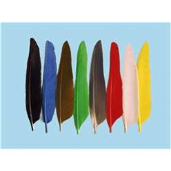 Turrall Feathers and Hackles - Duck Wing Quills - WQA