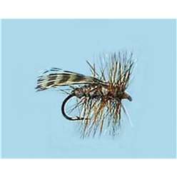 Europe Night Sedge - Turrall Caddis/Sedge Flies - SE27