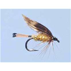 Woodcock & Yellow - Turrall Wet Flies Winged - WW54